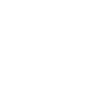 Generazione Lucana